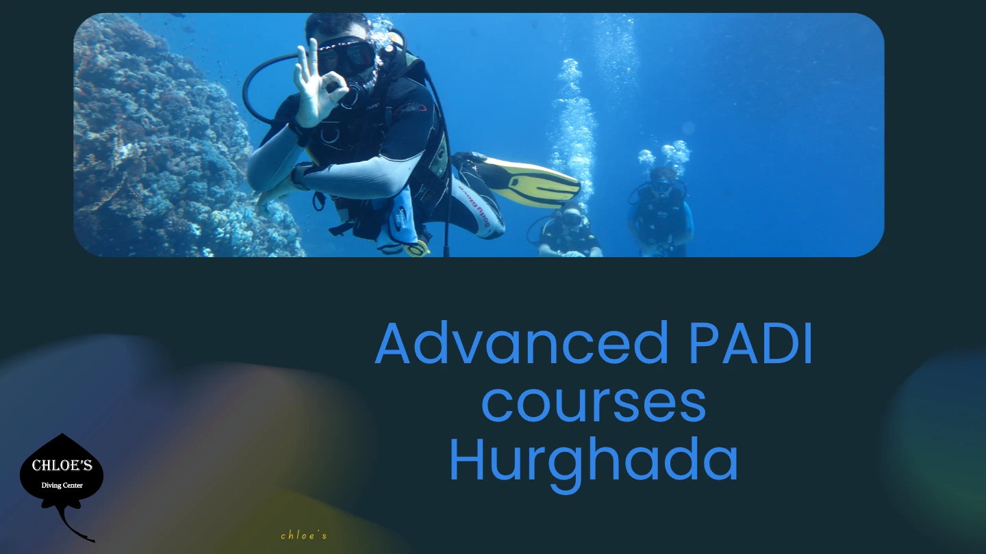 Chloes Diving Center In Hurghada 6 Advanced PADI Courses in Hurghada