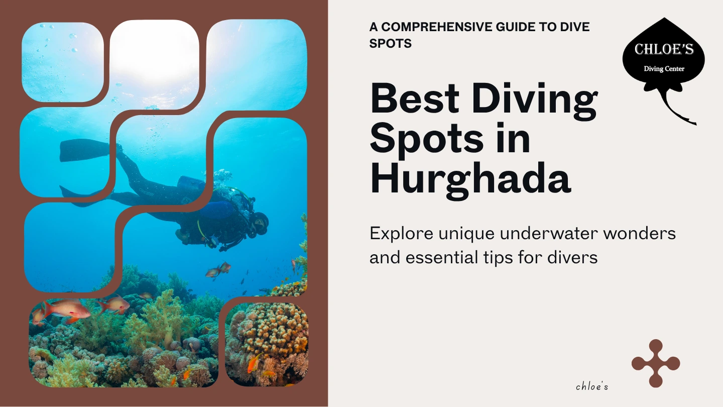 Best Diving Spots in Hurghada
