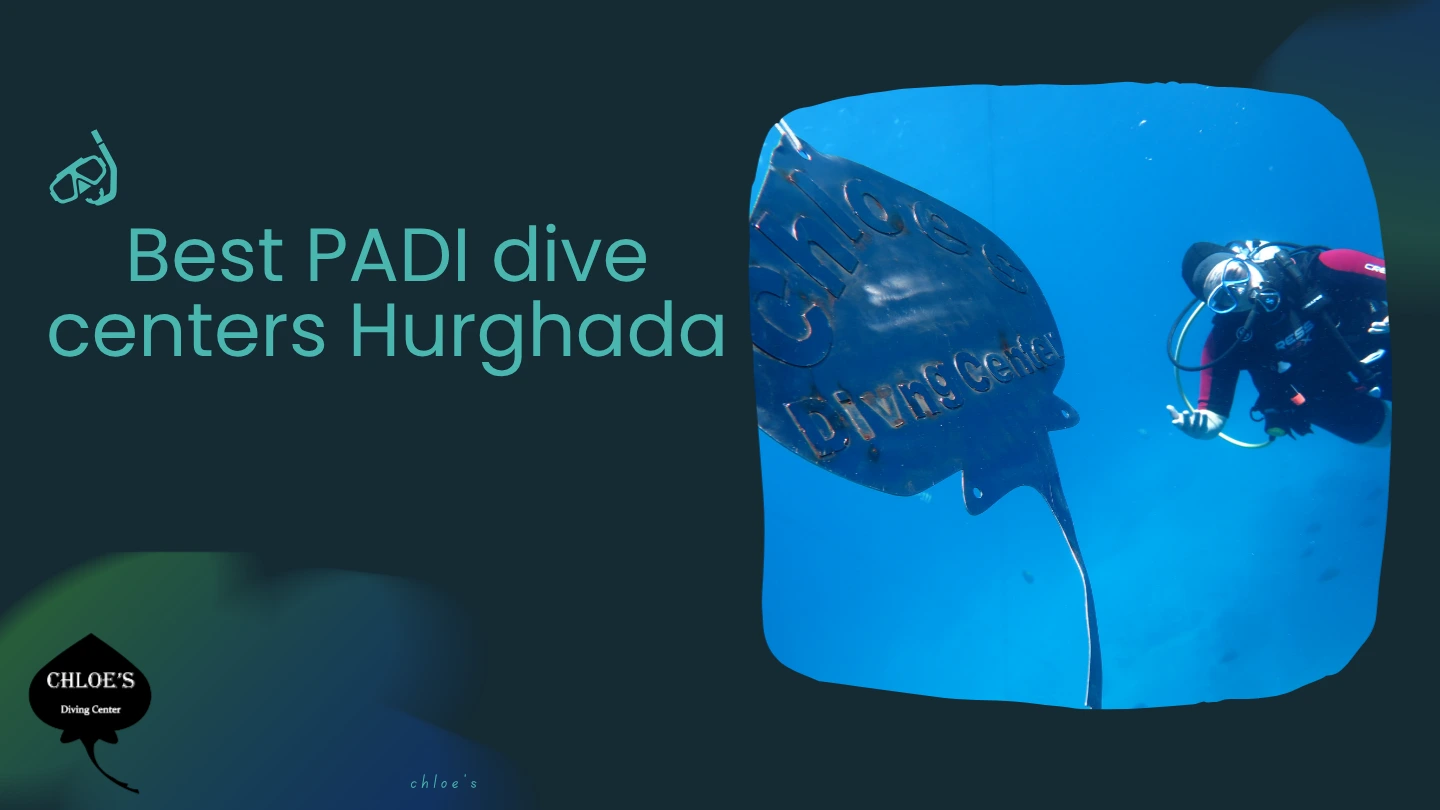 PADI Diving Certification Hurghada
