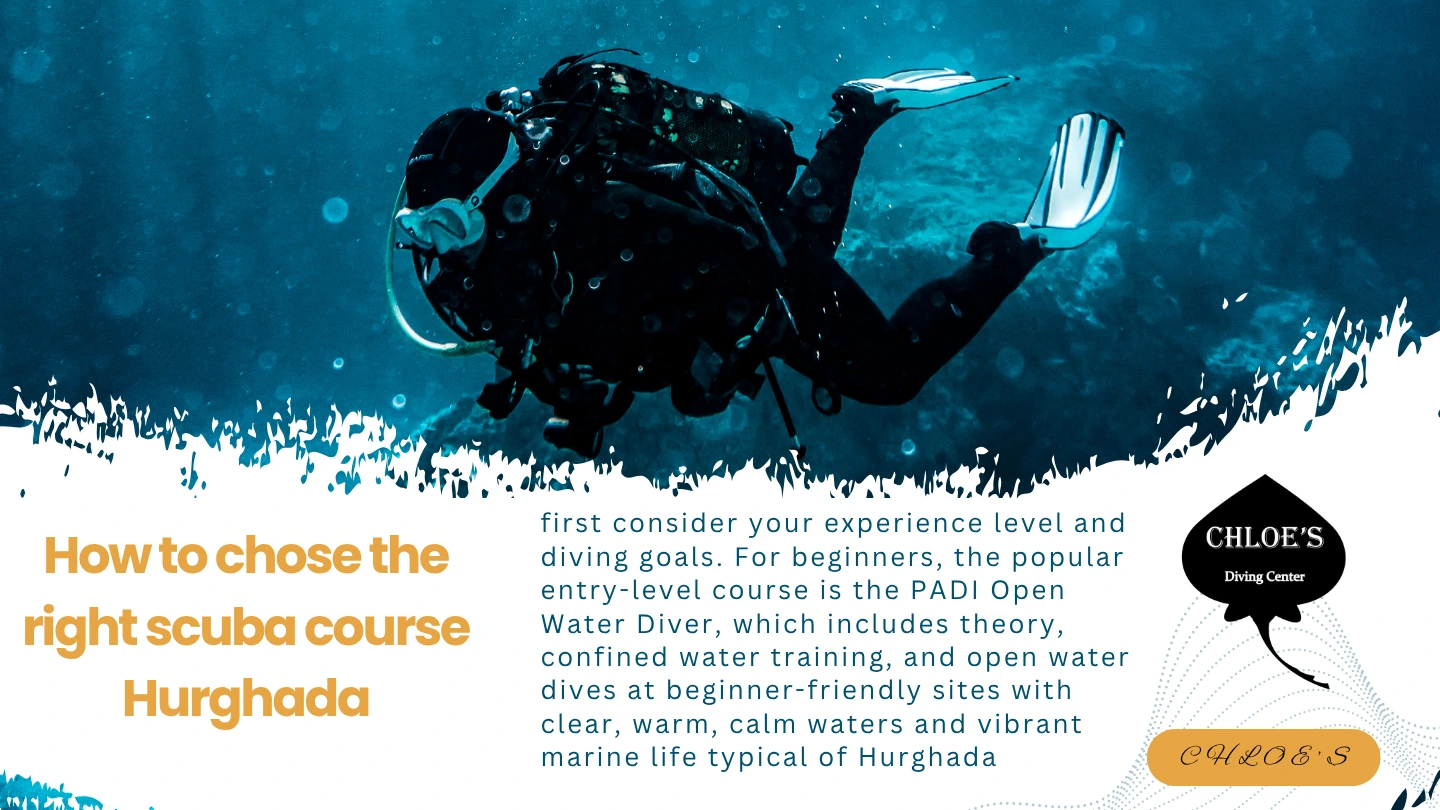 Chloes Diving Center In Hurghada 3 How to chose the right scuba course in Hurghada