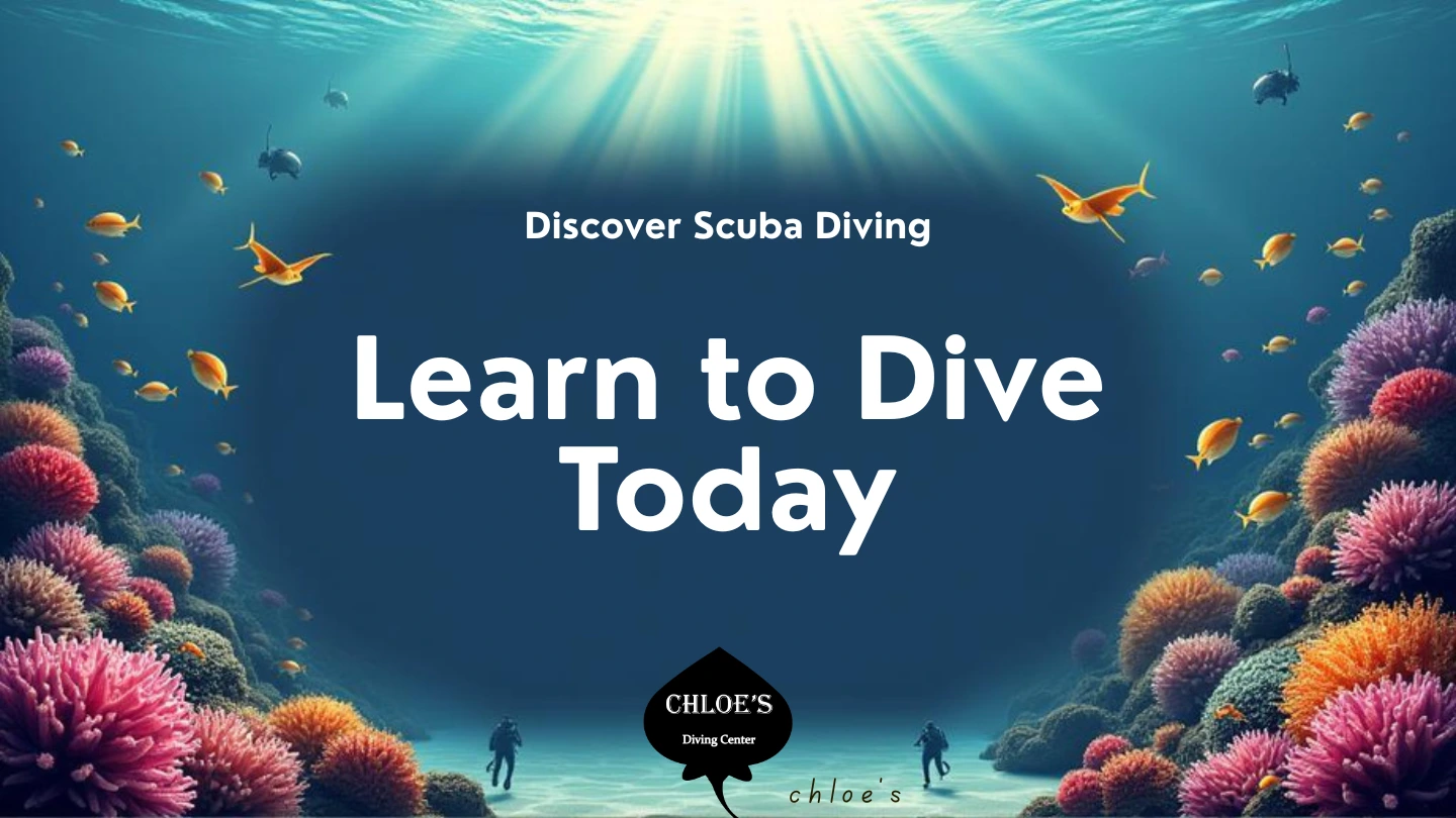 Learn to Dive in Hurghada