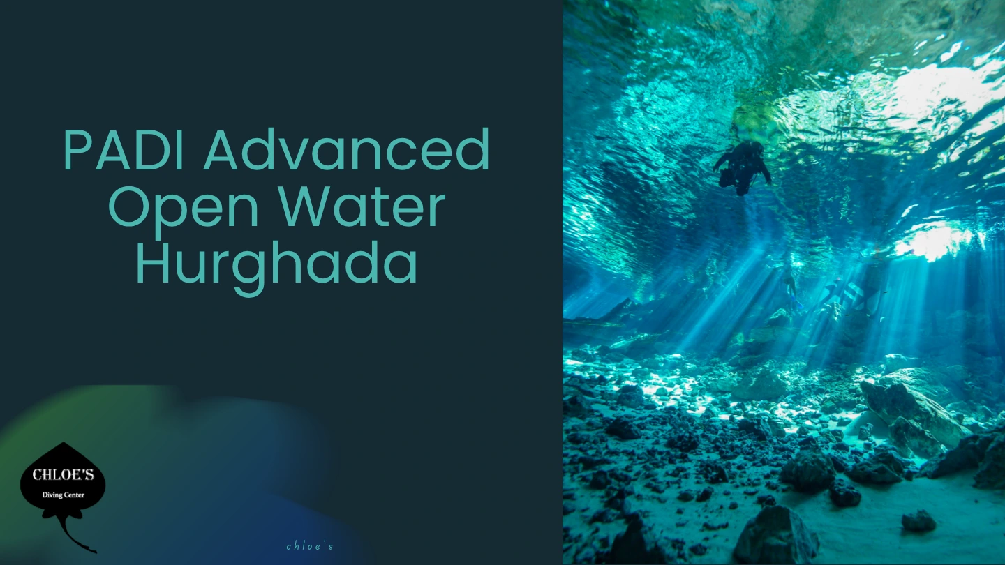 Chloes Diving Center In Hurghada 5 PADI Advanced Open Water Hurghada