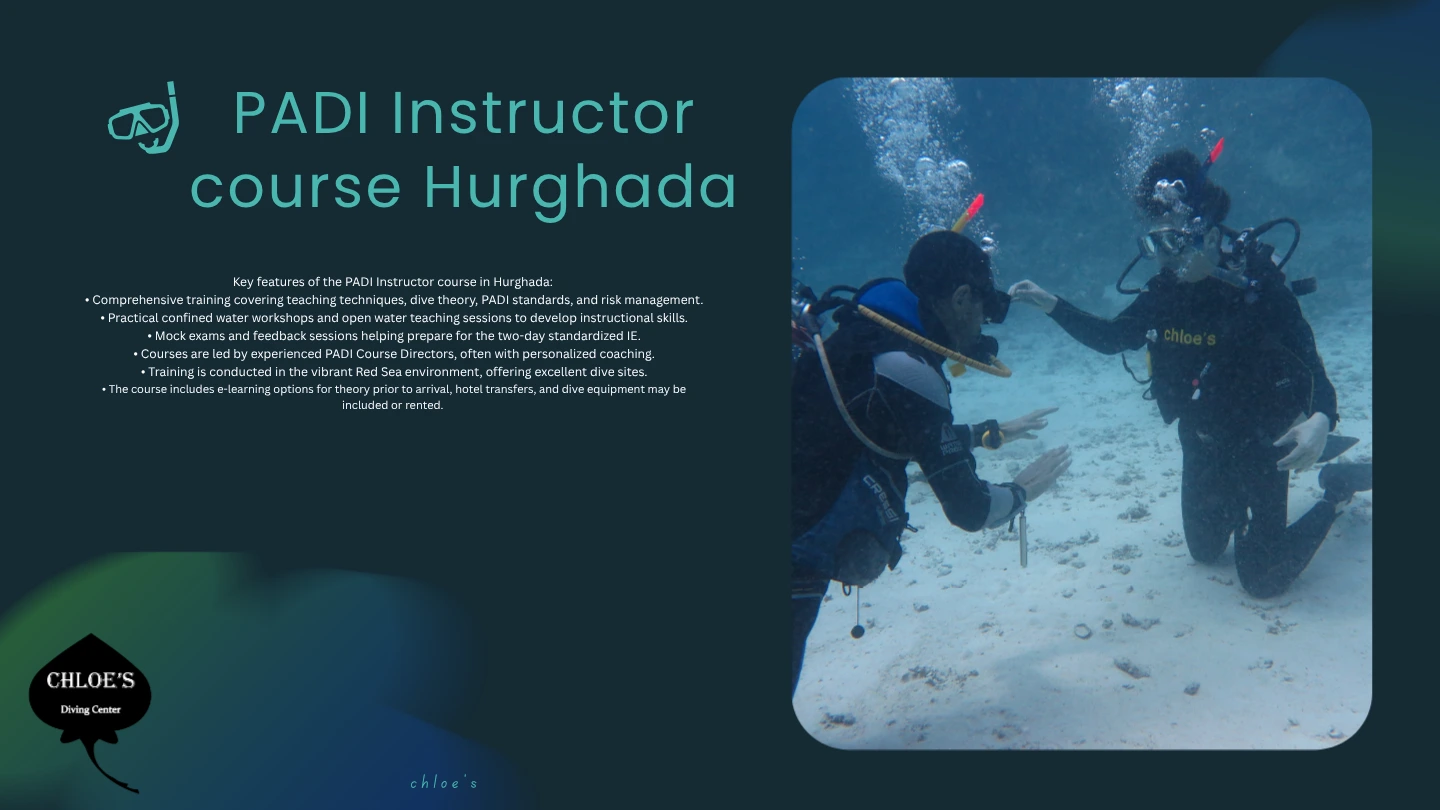 Chloes Diving Center In Hurghada 4 PADI Instructor course Hurghada