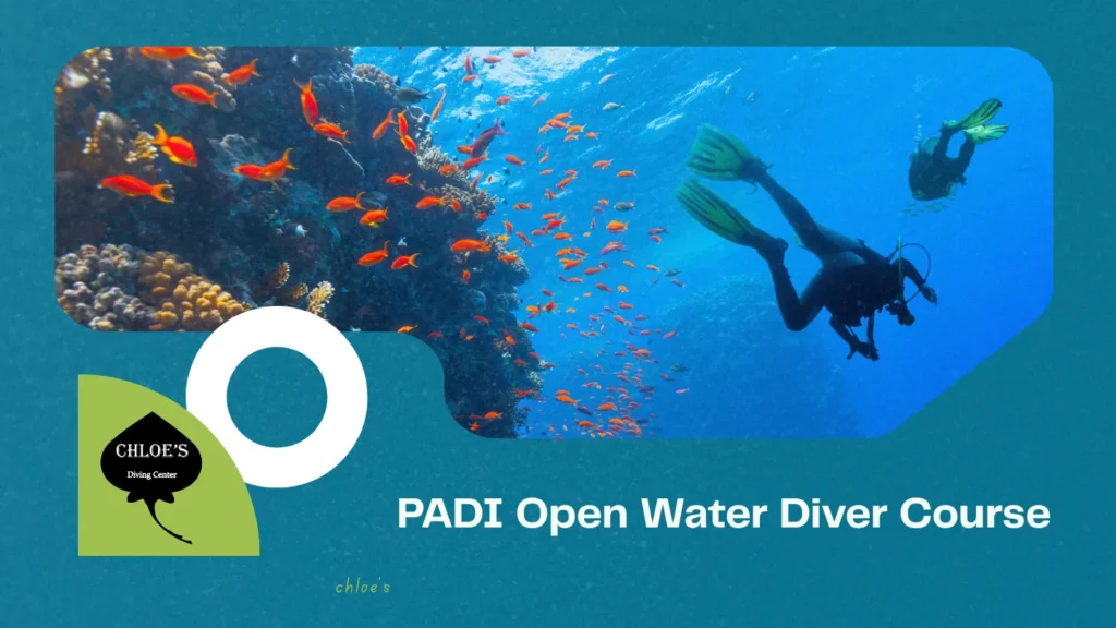 PADI Open Water Diver Course