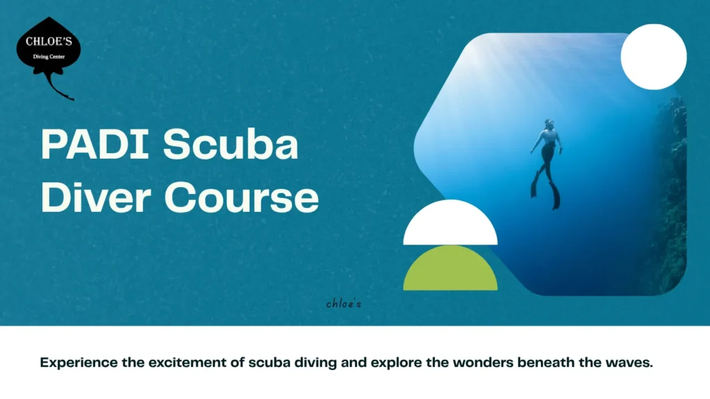PADI Scuba Diver Course