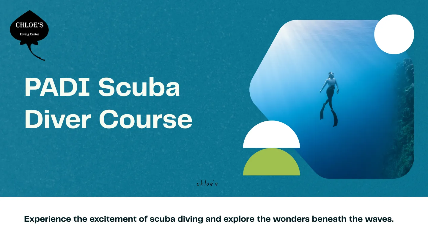 PADI Scuba Diver Course