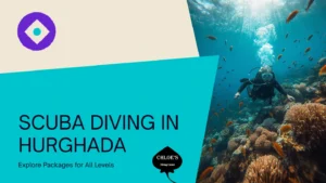 Scuba Diving Packages in Hurghada