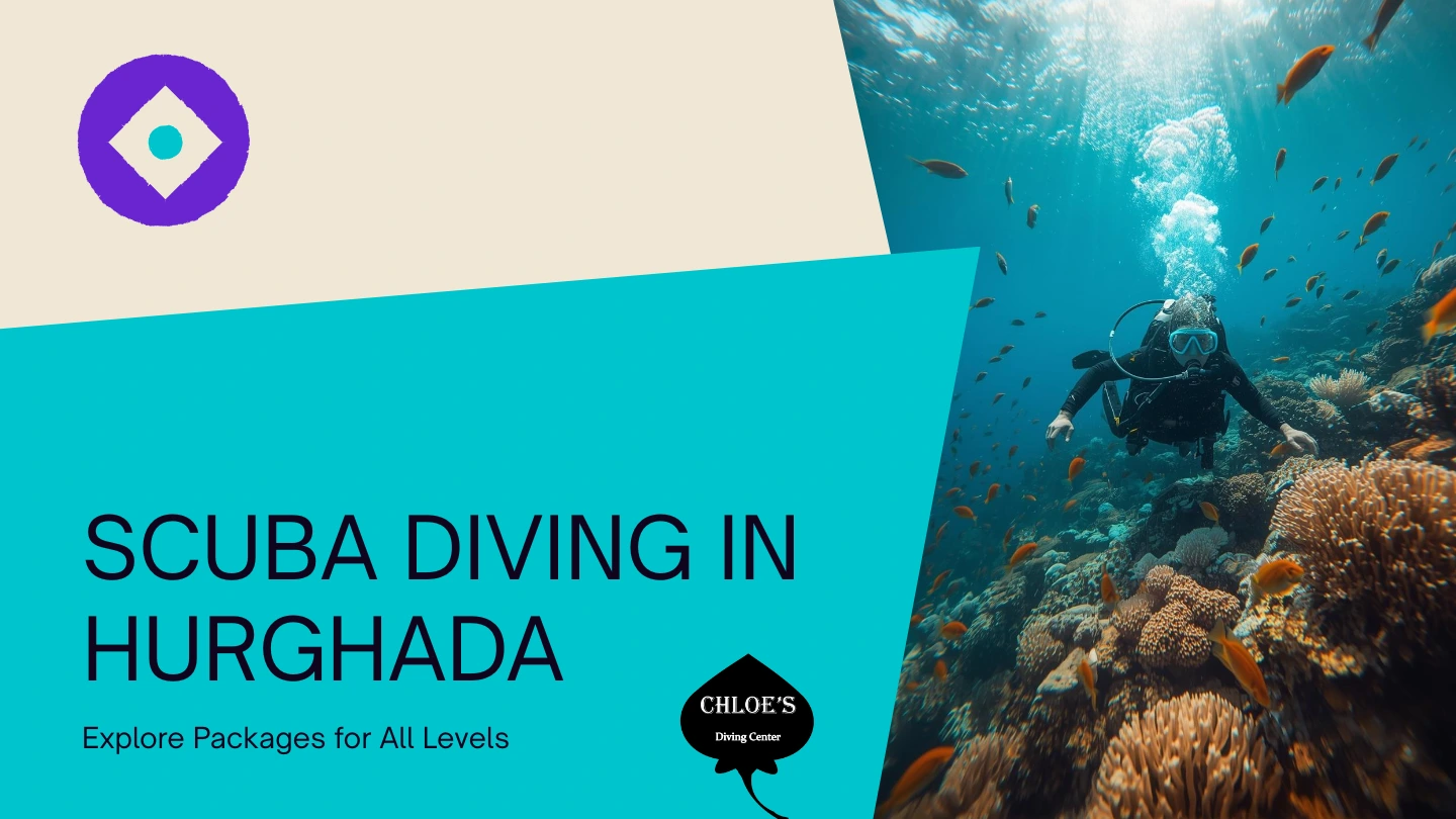 Scuba Diving Packages in Hurghada