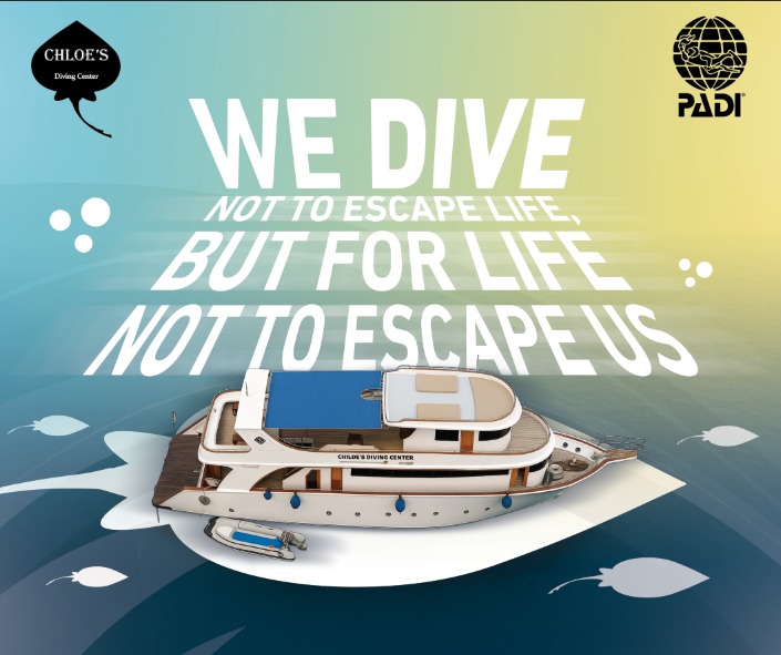 WhatsApp Image 2025 10 29 at 19.07.19