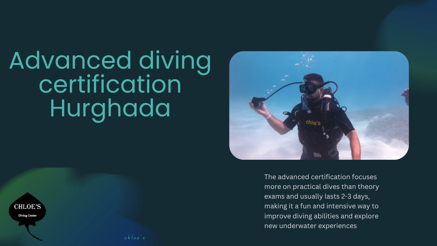 Chloes Diving Center In Hurghada 5 Advanced Diving Certification in Hurghada