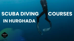 Scuba Diving Courses in Hurghada