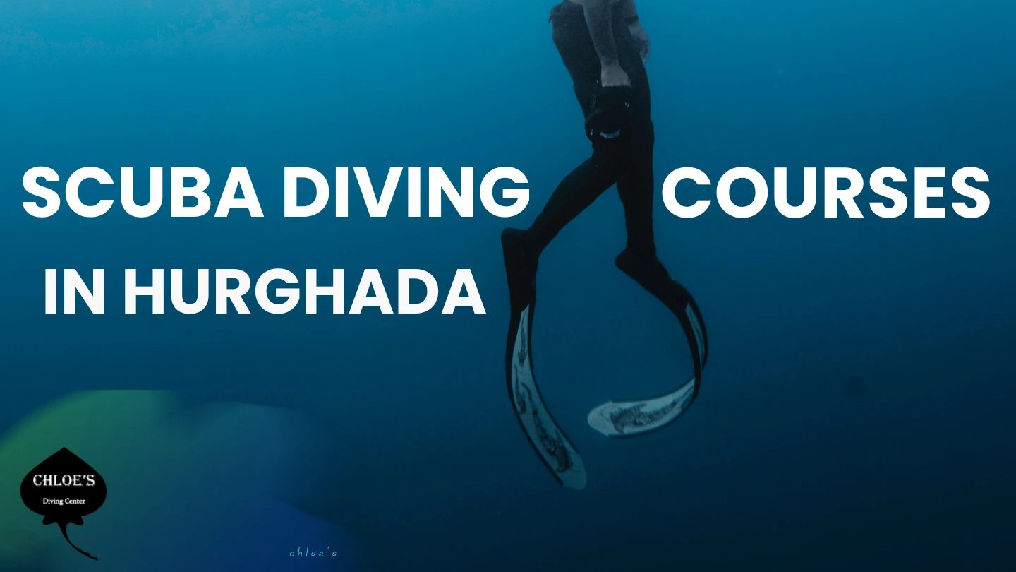 Scuba Diving Courses in Hurghada