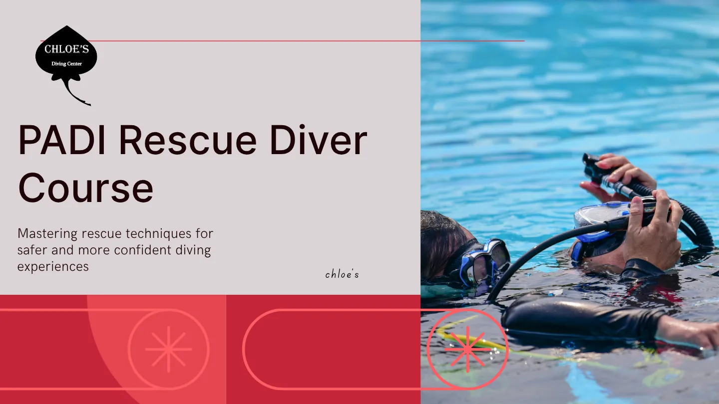 PADI Rescue Diver Course
