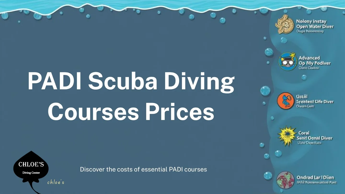 PADI Scuba Diving Courses Prices