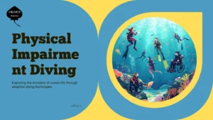 Physical Impairment Diving