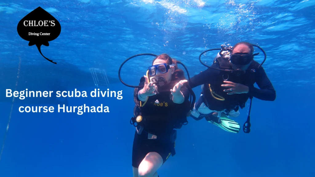 Beginner scuba diving course Hurghada