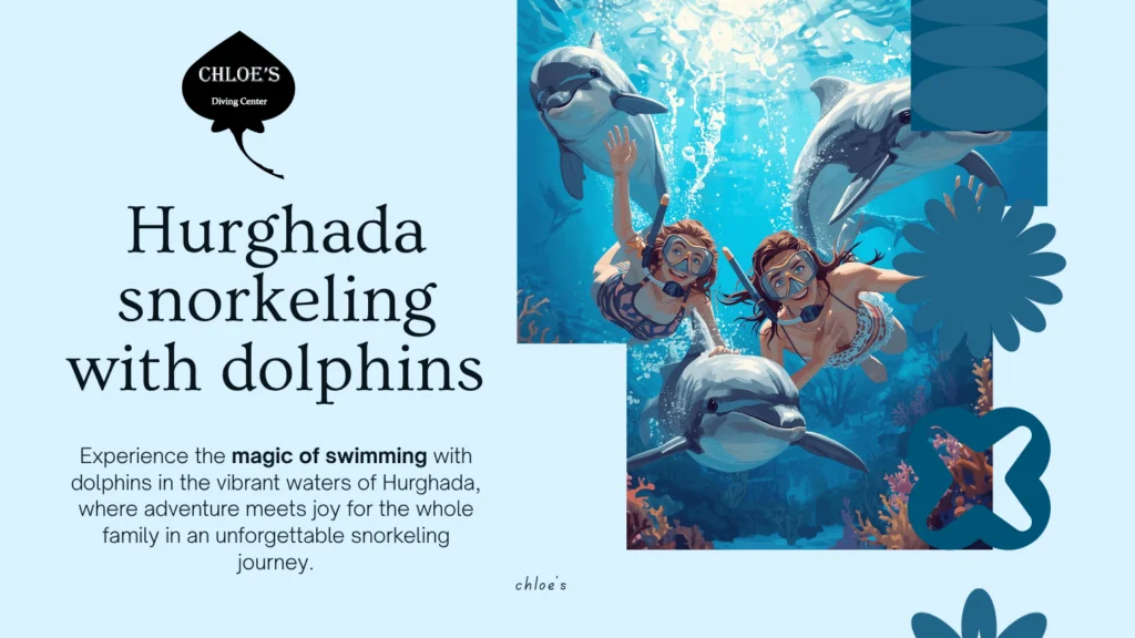 Hurghada snorkeling with dolphins