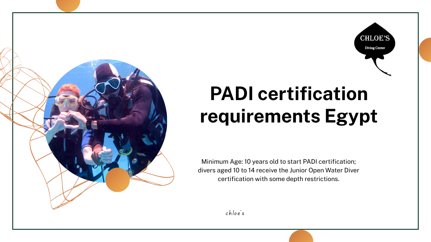 PADI certification requirements Egypt