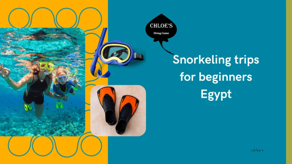 Snorkeling trips for beginners Egypt