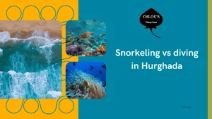 Snorkeling vs diving in Hurghada