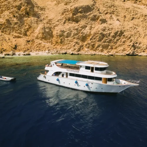 DJI_0254-2