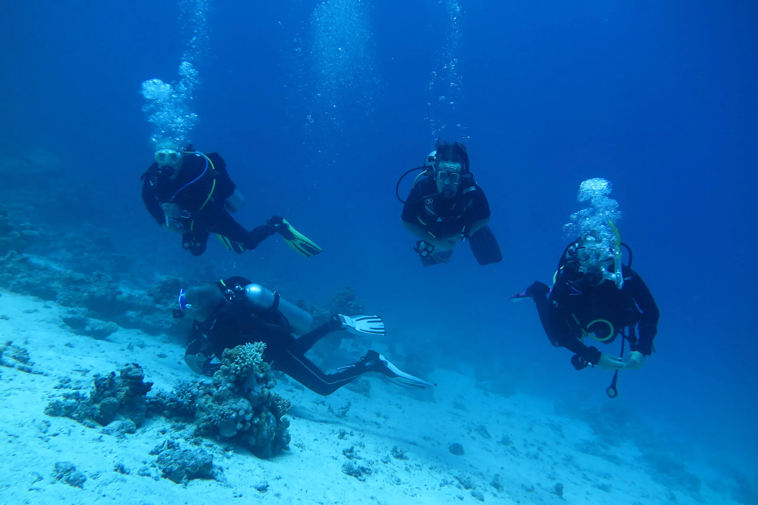 Täglicher Tauchausflug in Hurghada 1 IMG 8387 skaliert
